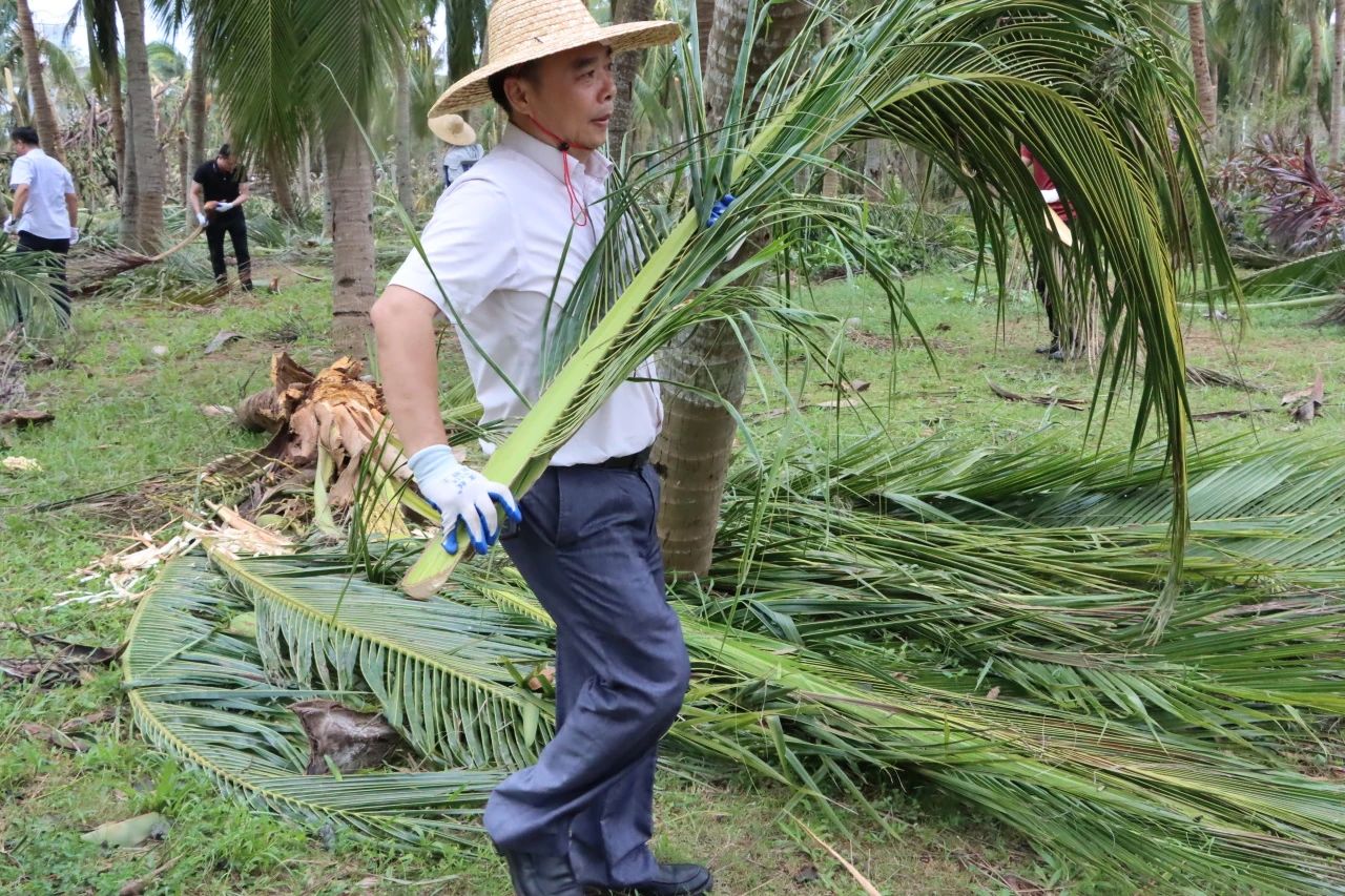 连夜奋战 海口建工全员投身恢复城市清理歼灭战
