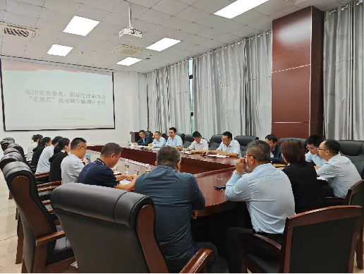 集团党委委员、副总经理莫海鸥“走基层”到桥隧公司部署年度目标冲刺工作