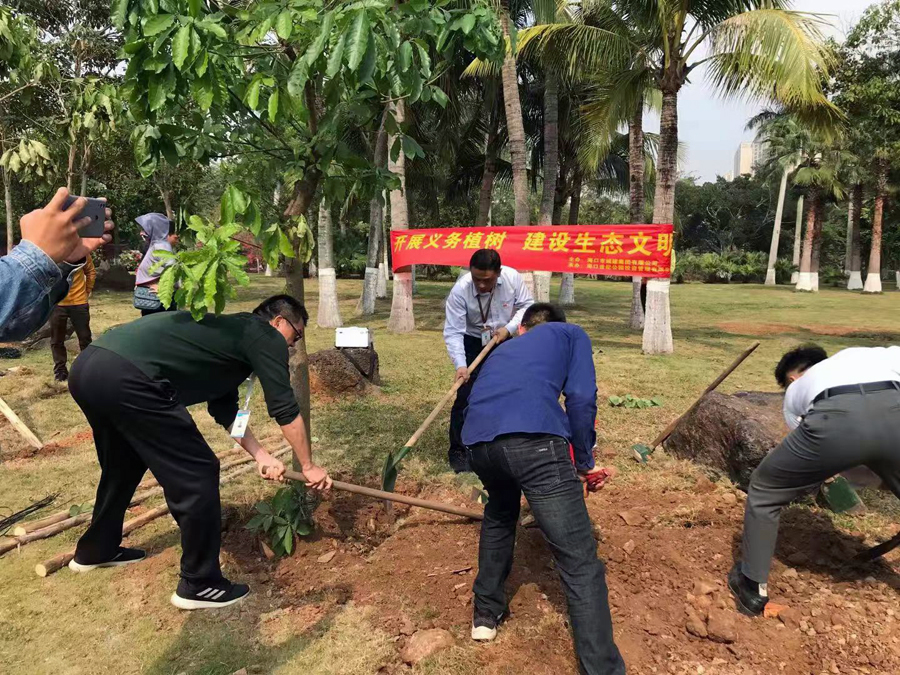 城建集团开展2021年春季义务植树活动(图4)